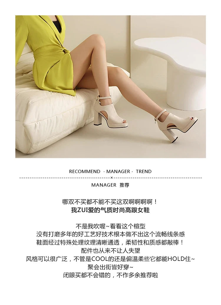 Summer Sandals Women Platform Gladiator Flip Flops High Heels Peep Toe Nude Black Ladies Dance Party Wedding Shoes Large Size