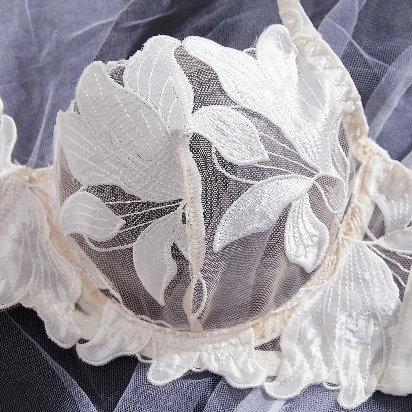 Fairy Lingerie Floral Valentine Charming Brief Panty Underwear Sexy Nighty Fancy Underwear Brief Set for Lady See Through Bra
