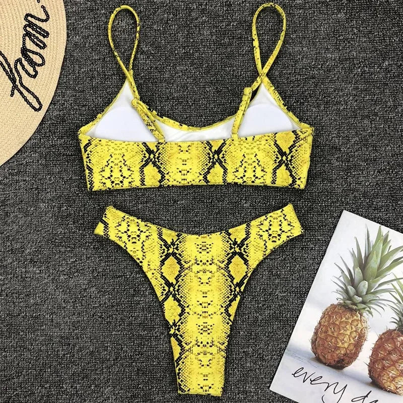 2026 Sexy Leopard Brazilian Bikini Female Swimsuit Women Swimwear Two Pieces Bikini Set High Cut Push Up Bathing Suit Swim Lady