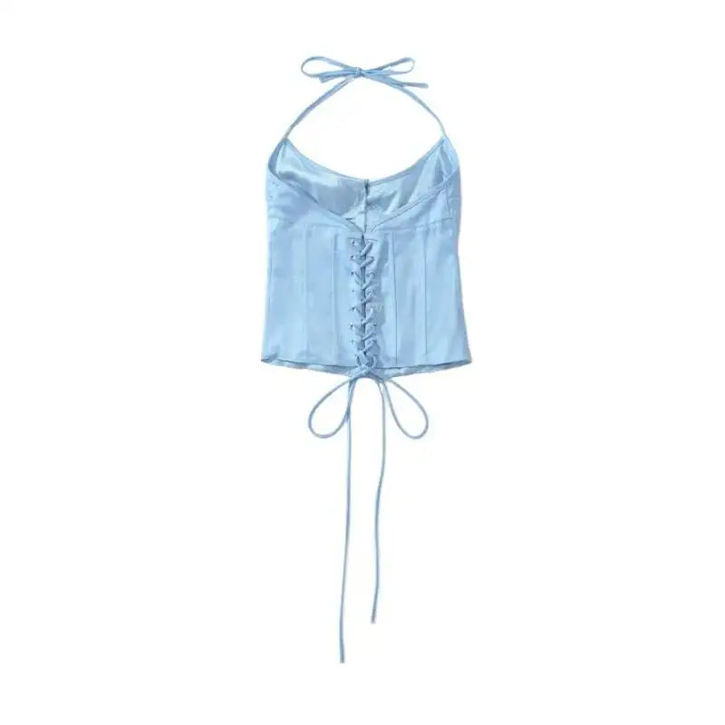 Vietnamese Sexy Backless Halter Neck Camisole For Women Niche Deep V-neck With Hook And Fishbone Waist-cinching Satin Top 02BG