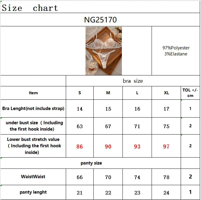 Sexy Lace Floral Underwear Set Women's Ultra-Thin Bra Set 2-Piece Bra And Panties Combo for Ladies