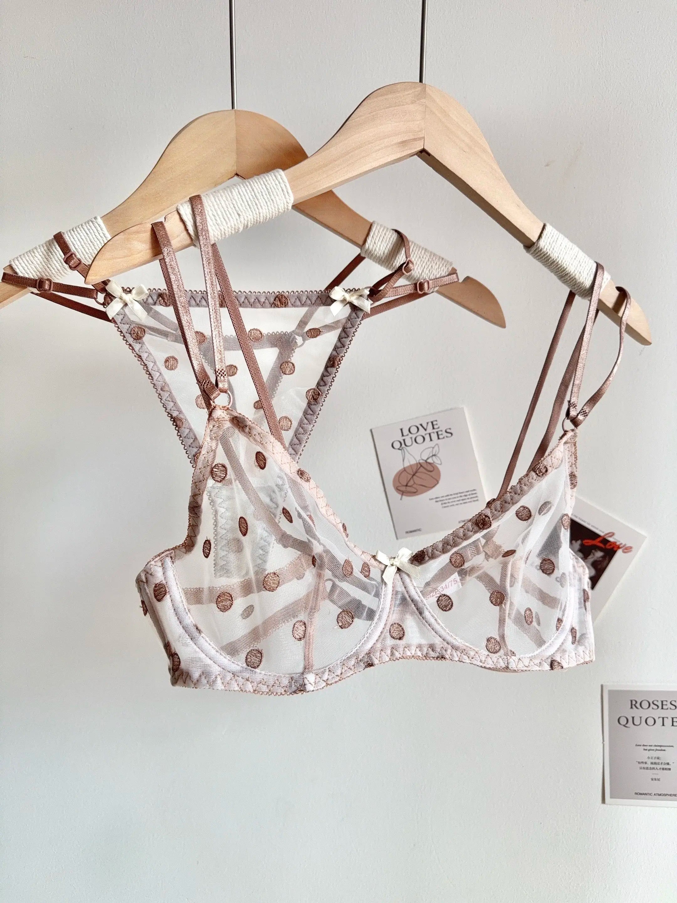 Affordable French Lace Lingerie Set | Sexy Mesh Push Up Bra for Big Bust, Ultra Thin Slimming Anti Sag Women's Bra Set MOYISU AB