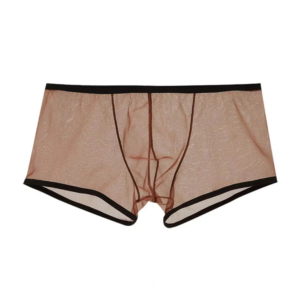 Mesh Perspective Shorts Panties Men Boxer Underwear Transparent Low-rise Moisture-wicking Boxer Shorts