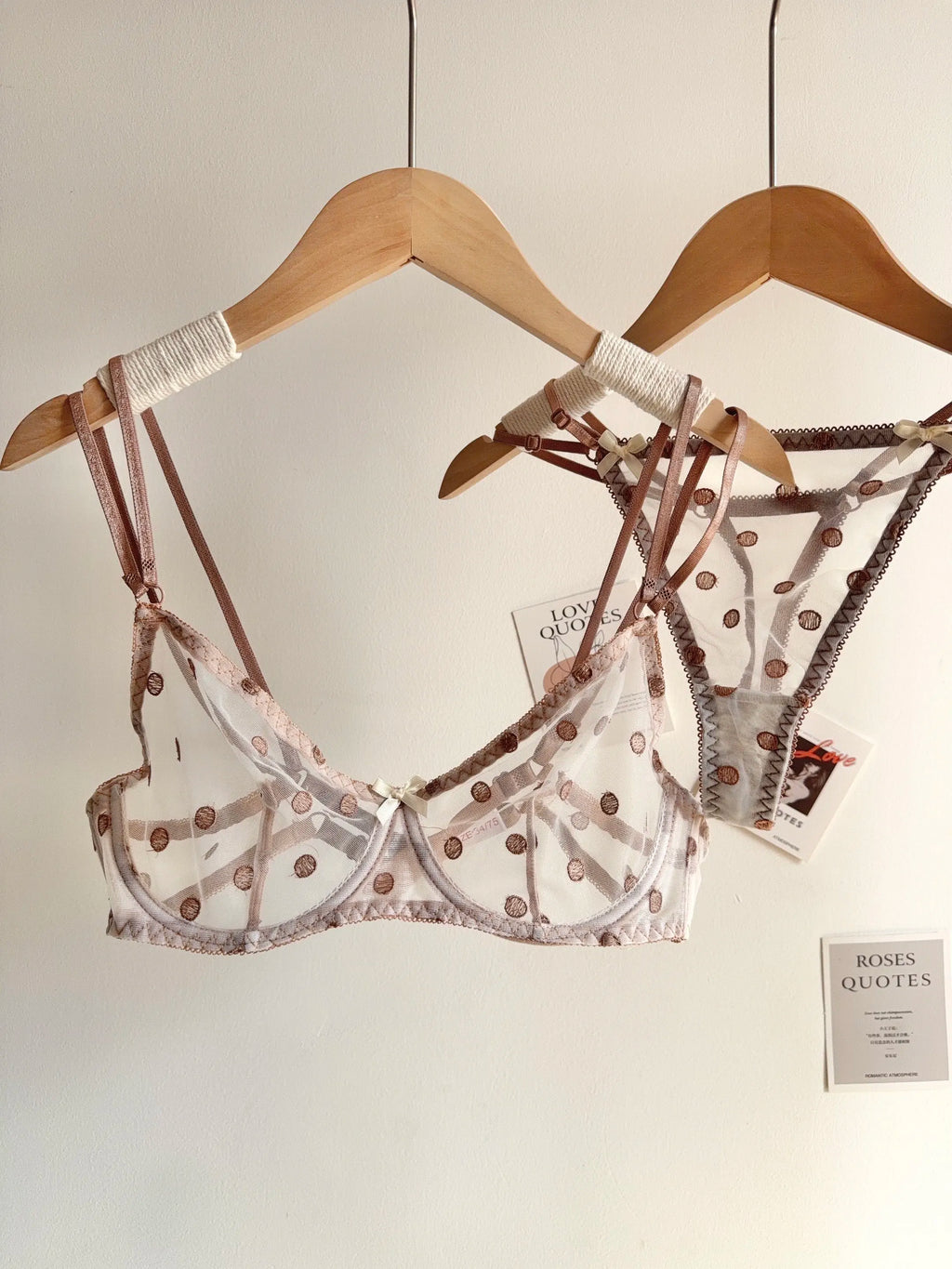 Affordable French Lace Lingerie Set | Sexy Mesh Push Up Bra for Big Bust, Ultra Thin Slimming Anti Sag Women's Bra Set MOYISU AB