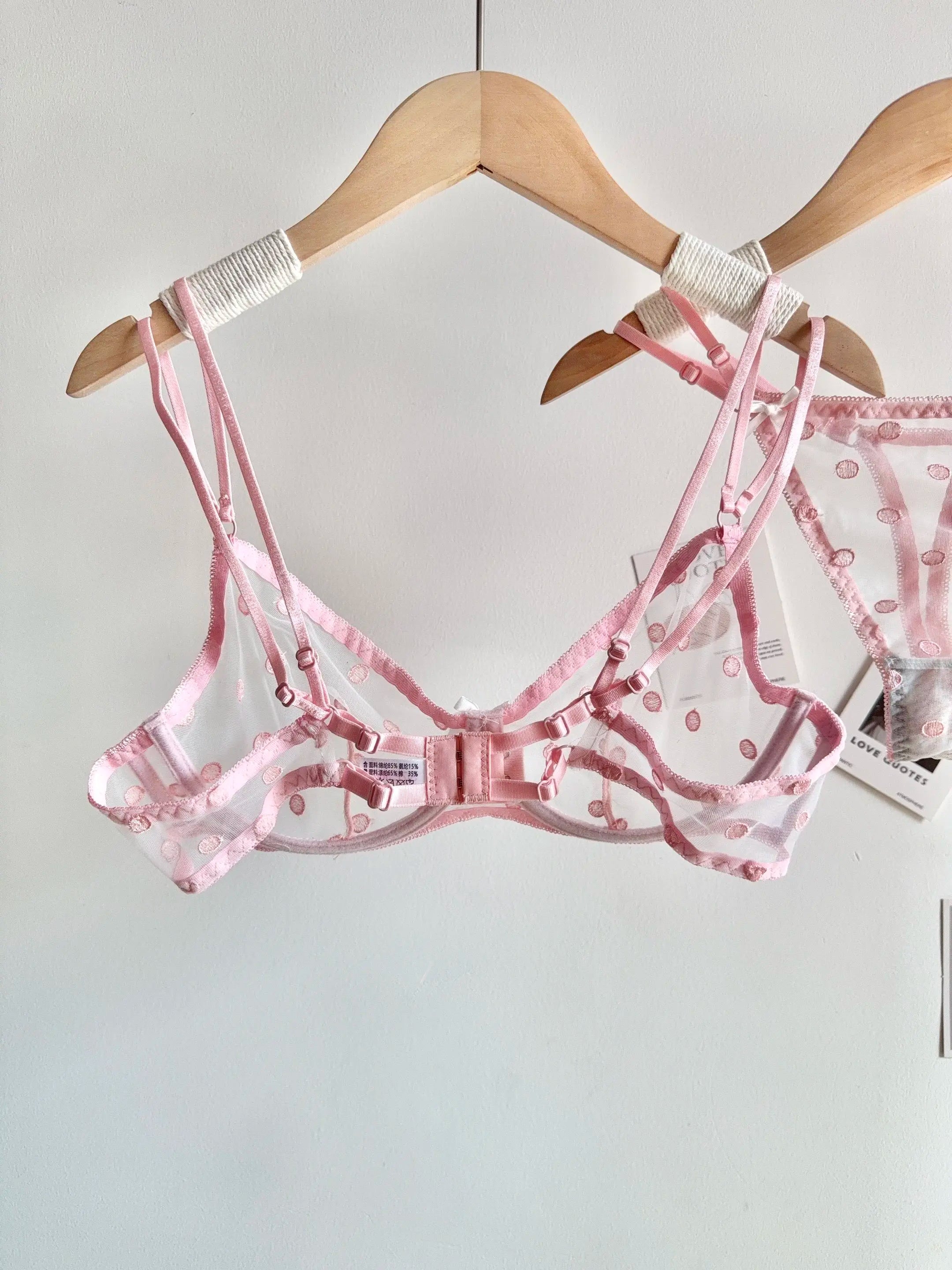 Affordable French Lace Lingerie Set | Sexy Mesh Push Up Bra for Big Bust, Ultra Thin Slimming Anti Sag Women's Bra Set MOYISU AB