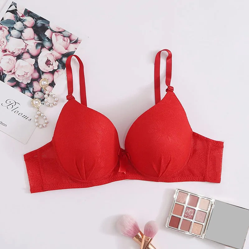 Beautiful Design Sexy Red Underwear Lace Underwire Back Buckle Bras Crop Top Shapewear Plus Size Women's Clothing A5100