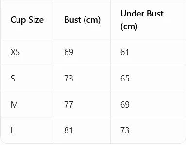2Pcs/Set Lace Bra for Women Sexy Underwire Push-Up Bra Breathable Mesh Thin Soft Lingerie Adjustable No Lining Women's Bra