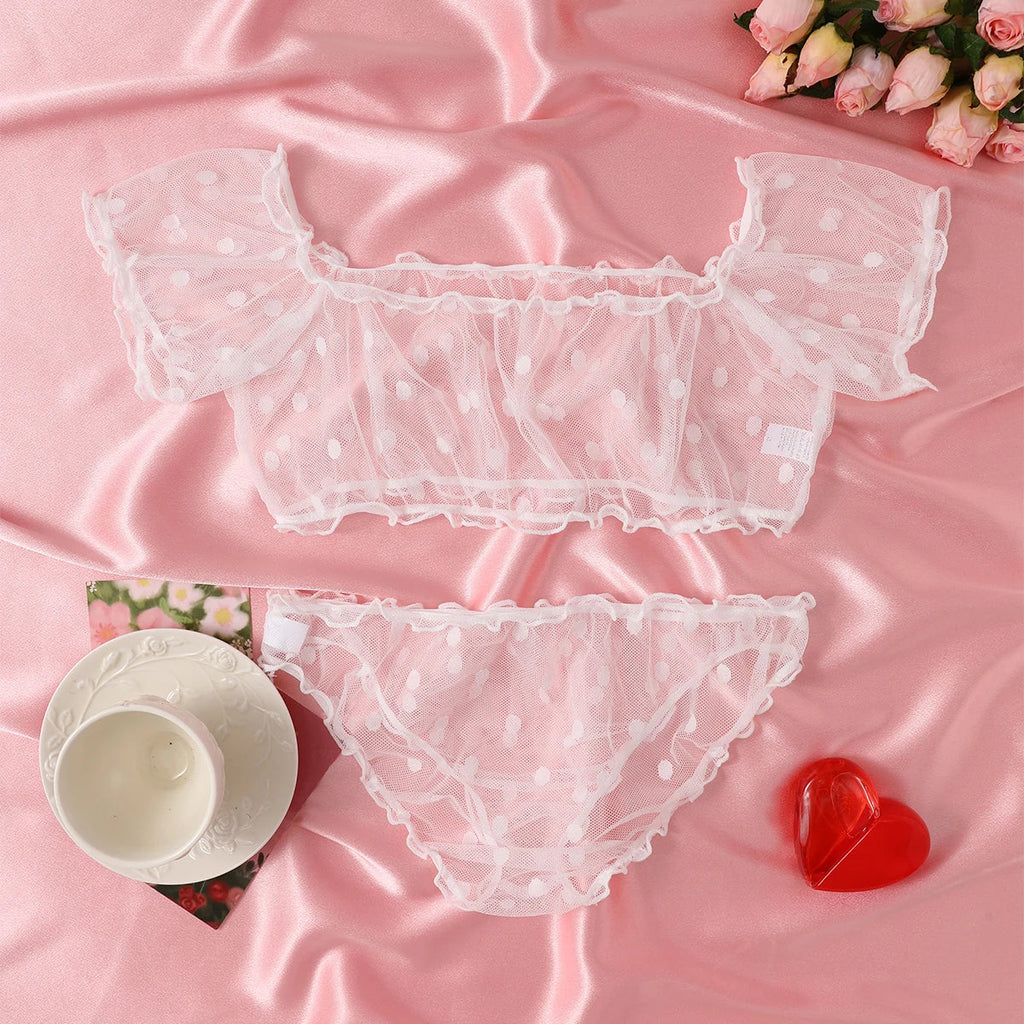 Women 2-Piece Lingerie Dot Embroidery Mesh Fancy Outfit Romantic Underwear Set Bra And Panty Sets
