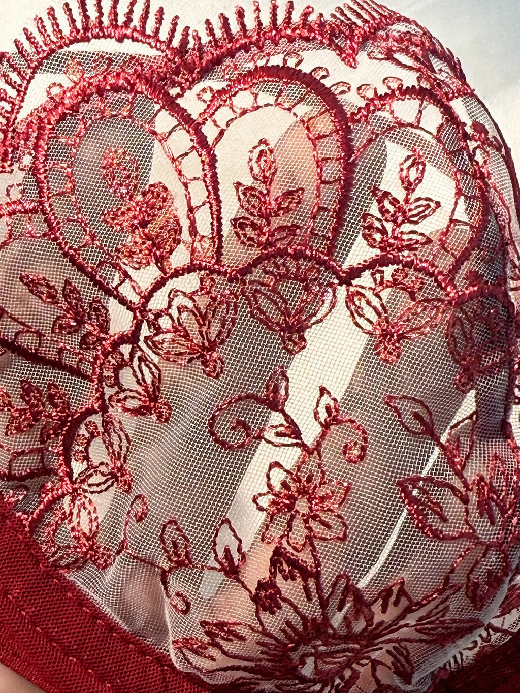 WineRed French-style floral embroidery lace lingerie set, sexy see-through padded support, Valentine's Day party ZA824057