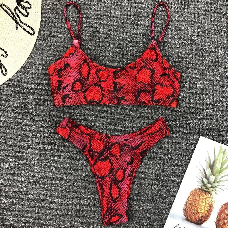 2026 Sexy Leopard Brazilian Bikini Female Swimsuit Women Swimwear Two Pieces Bikini Set High Cut Push Up Bathing Suit Swim Lady