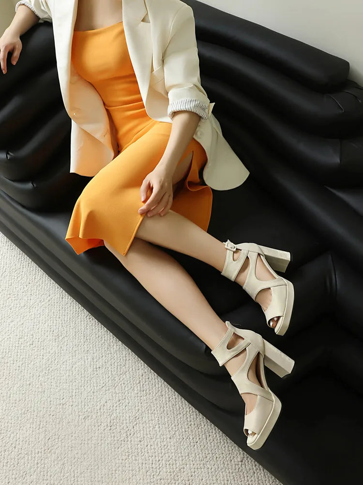 Summer Sexy Gladiator Women Sandals Designer Peep Toe Hollow Out High Heels Platform Party Ladies Shoes Zipper Sandales Femmes