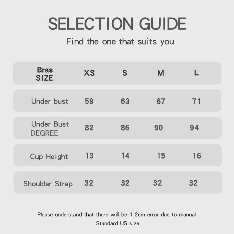 Women Sexy Bra and Panty Set Triangle Cup Luxury Noble Threaded Silver Ribbon Thin Buckle Lingerie Underwear Set