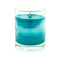 The Cabin 2.5oz Soy Candle in Glass