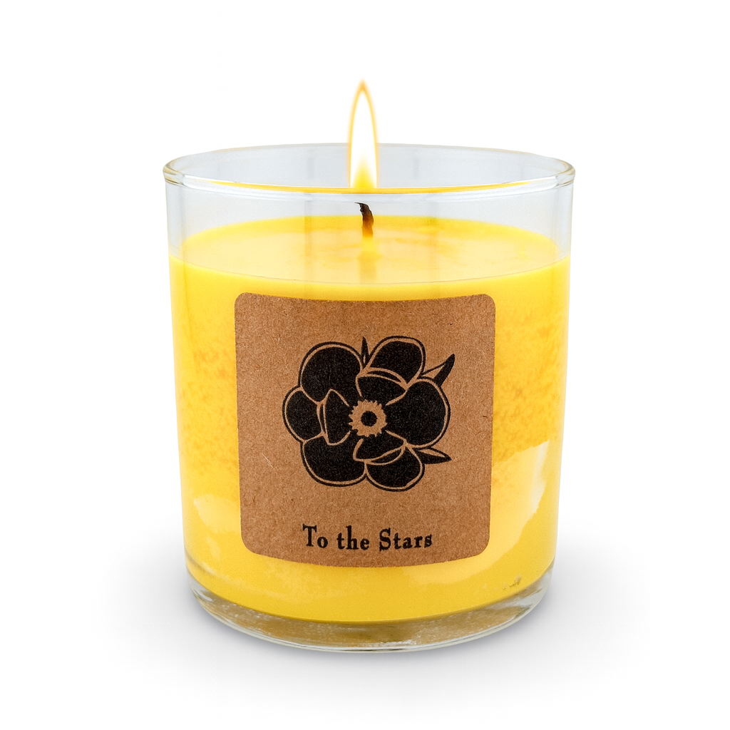 To the Stars 10oz Soy Candle