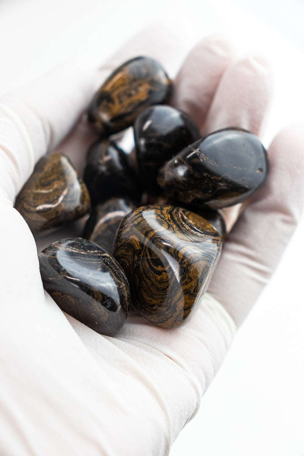 Stromatolite