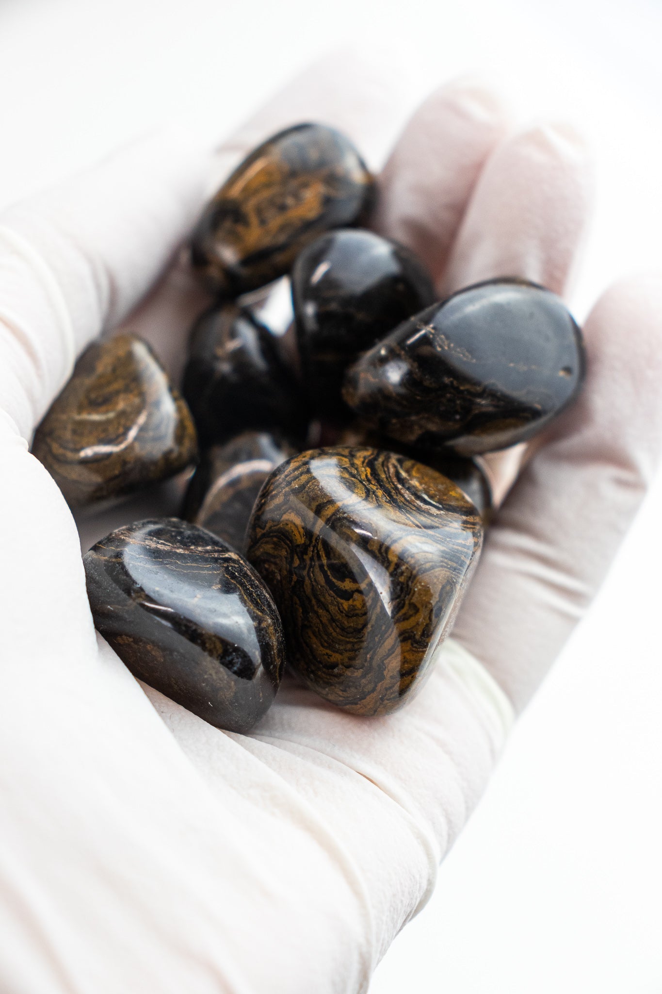 Stromatolite