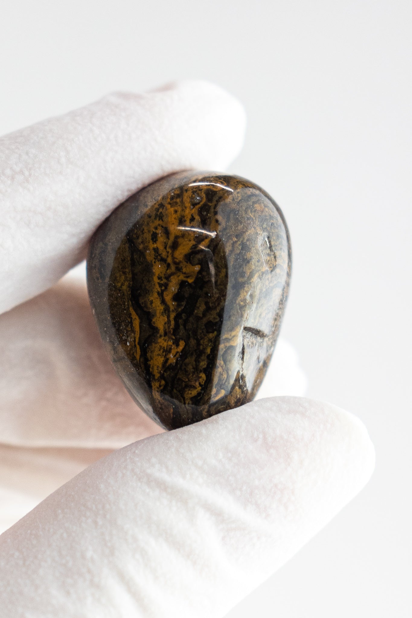 Stromatolite