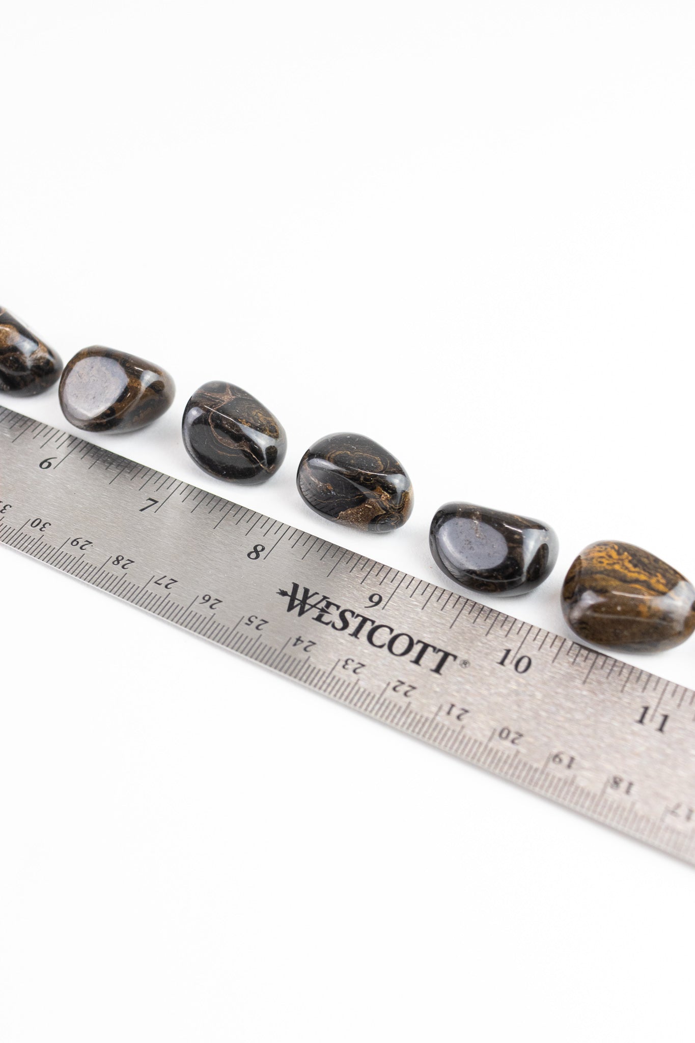 Stromatolite