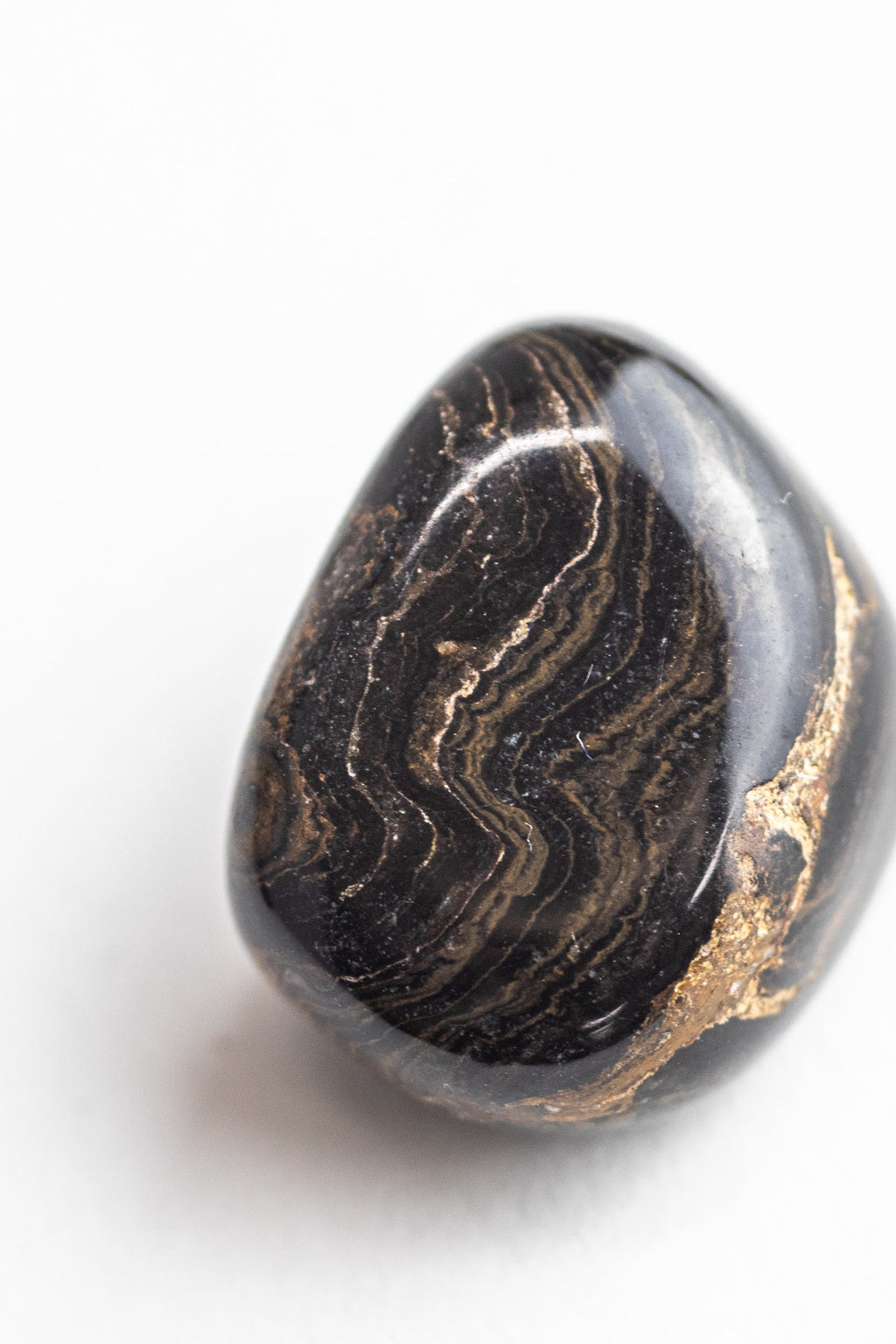 Stromatolite