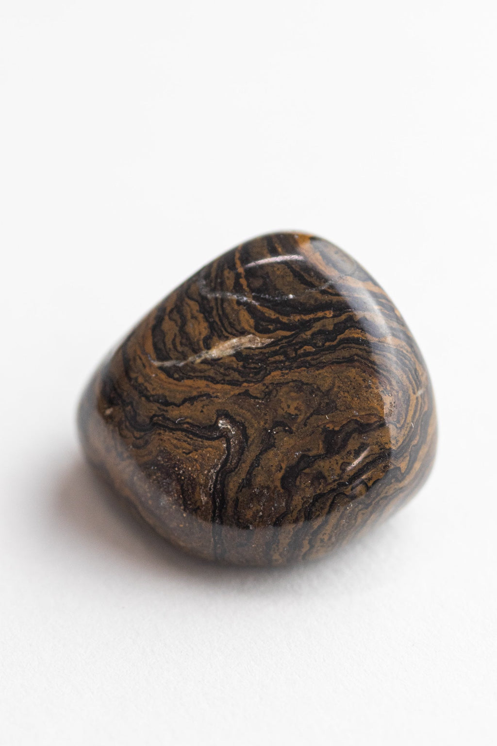 Stromatolite