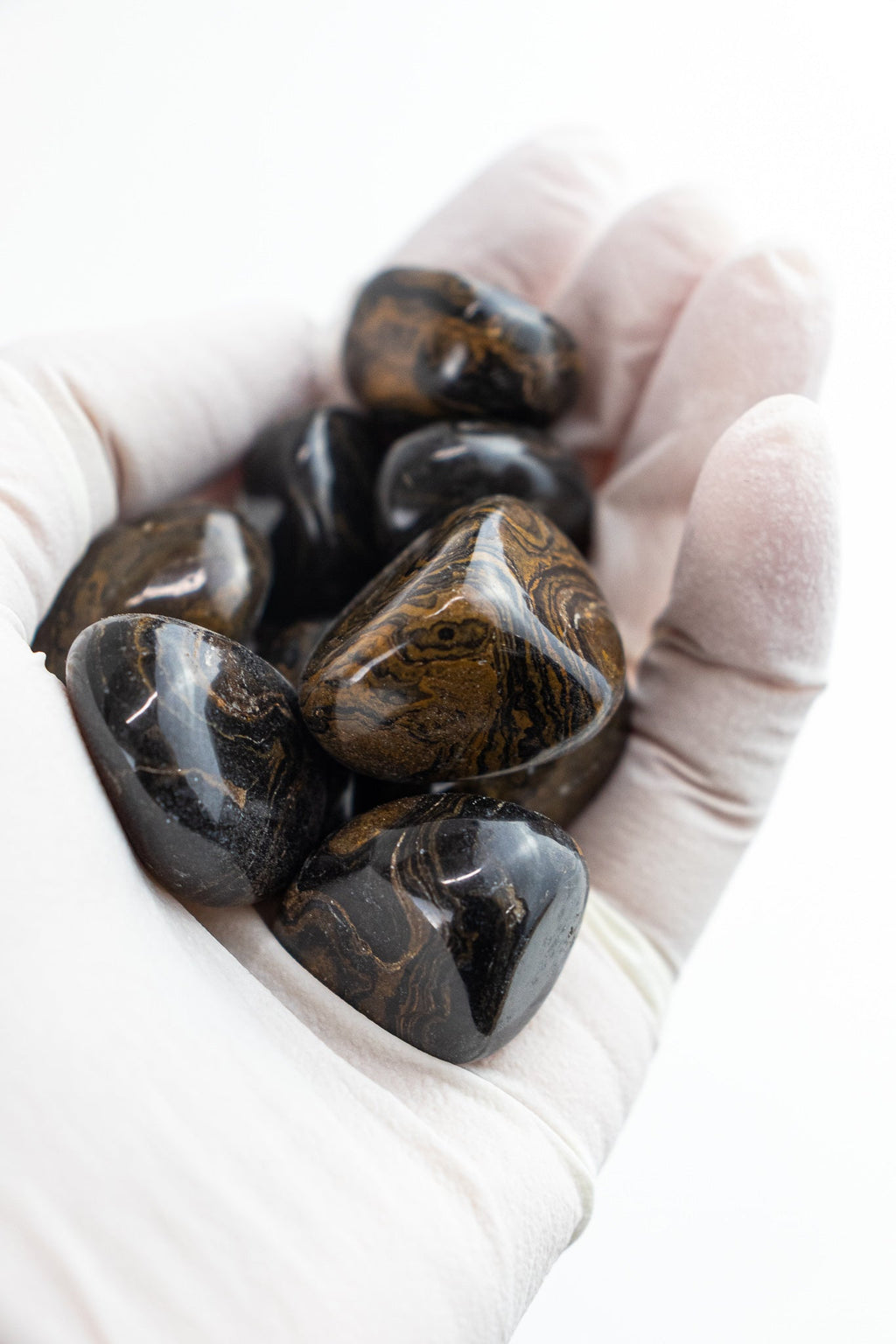 Stromatolite