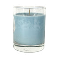 Zeus 2.5oz Soy Candle in Glass