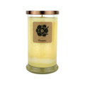 Cleopatra 18oz Soy Candle