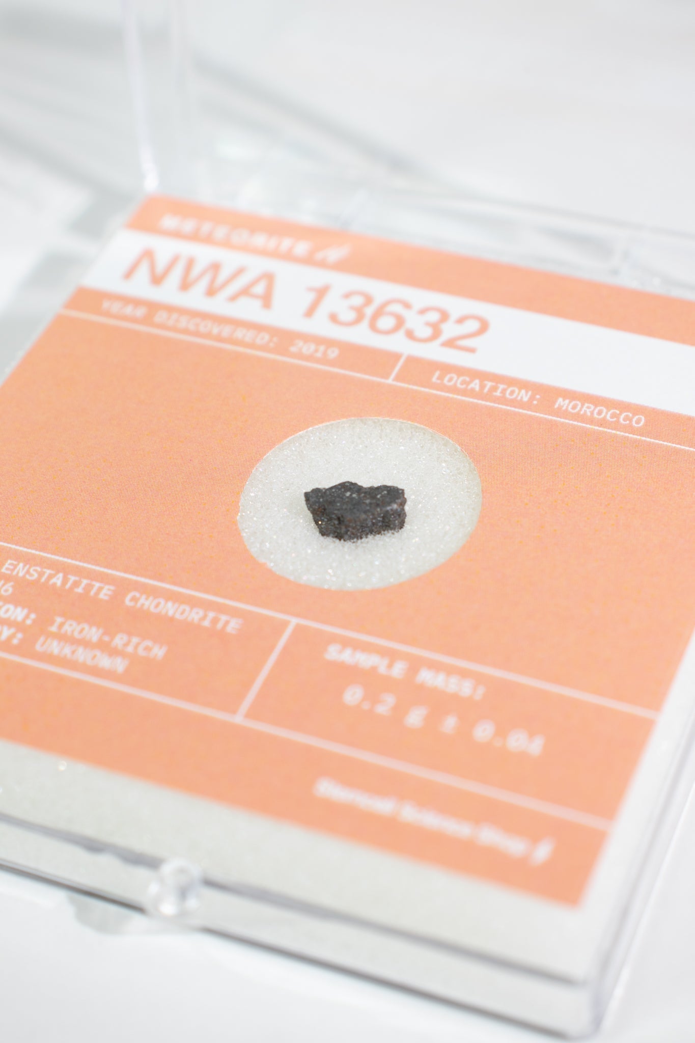 Fragment of the Early Solar System - NWA 13632