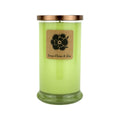 Green Clover & Aloe 18oz Soy Candle