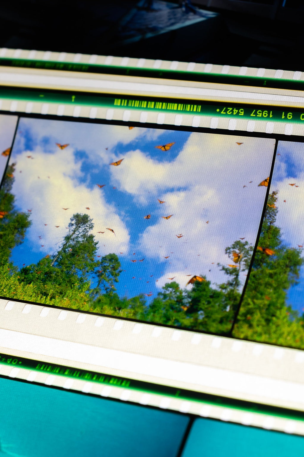 Authentic IMAX Film Cell – Framed 15/70 Cinema Frame
