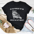 Relatable Cynical Reality Top – "It Is What It Is & It Is Not Great" Tee
