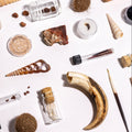 Wildlife Science Collection
