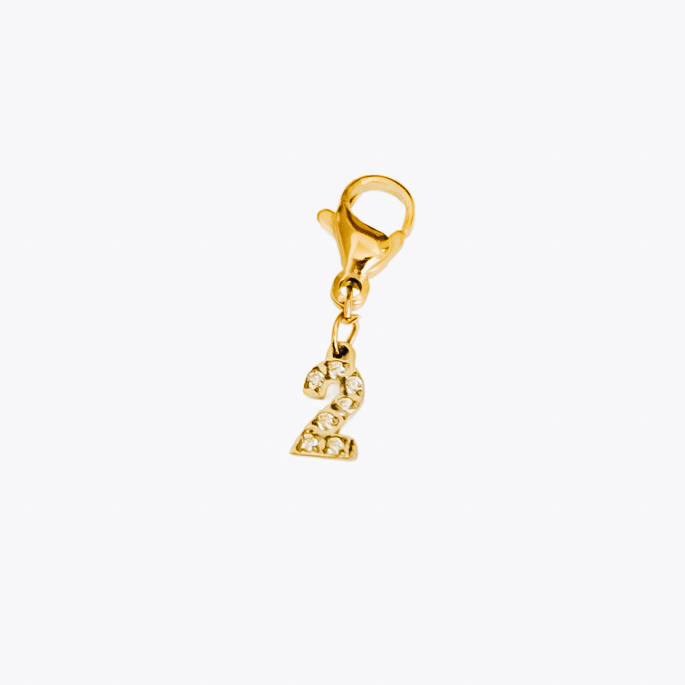 Bundled Number Charm Bar Chanelle Charms - WATERPROOF