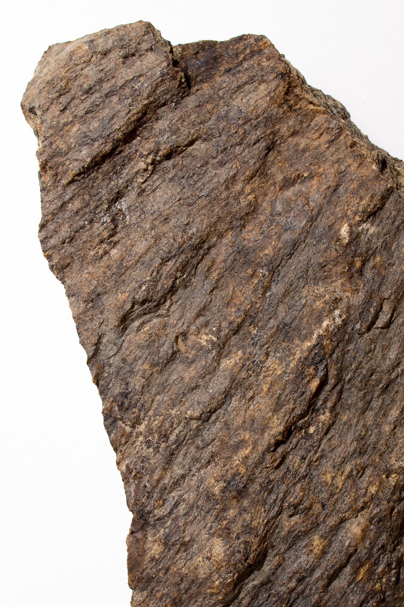 Shatter Cone