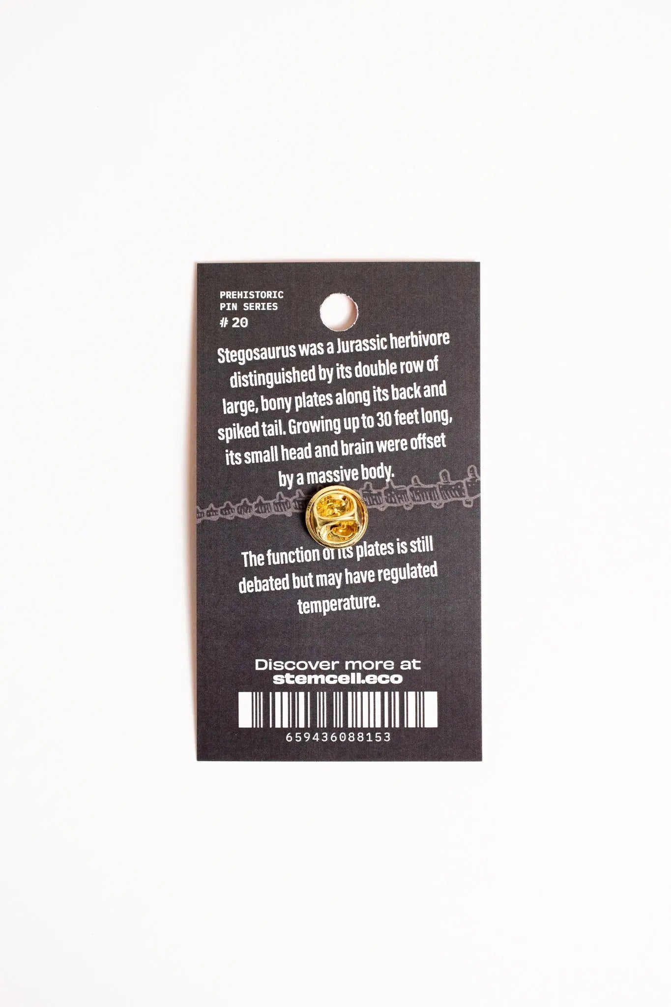 Stegosaurus Enamel Pin (Stegosaurus stenops)