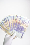 Zimbabwe Ten Billion Dollar Bill