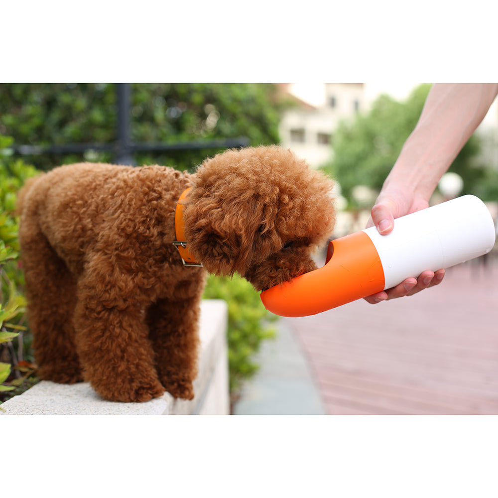 Instachew Rover Pet Travel Bottle, Dog water bottle-11